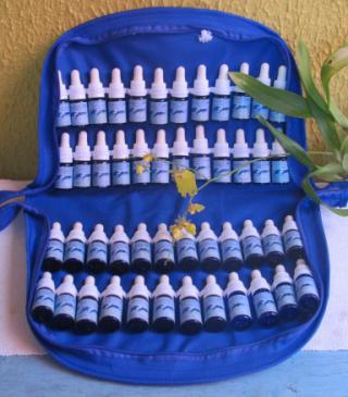 iPhone 6s Plus Apple com Tela 5,5” HD com 3D Touch, iOS 9, Sensor Touch ID, Câmera iSight 12MP, Wi-Fi, 4G, GPS, Bluetooth e NFC - Ouro Rosa