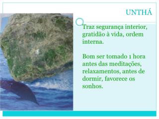iPhone 6s Plus Apple com Tela 5,5” HD com 3D Touch, iOS 9, Sensor Touch ID, Câmera iSight 12MP, Wi-Fi, 4G, GPS, Bluetooth e NFC - Ouro Rosa